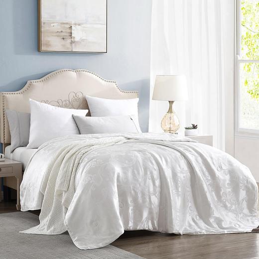 臻丝滑大提花蚕丝被1000gBYCS605-1 商品图0