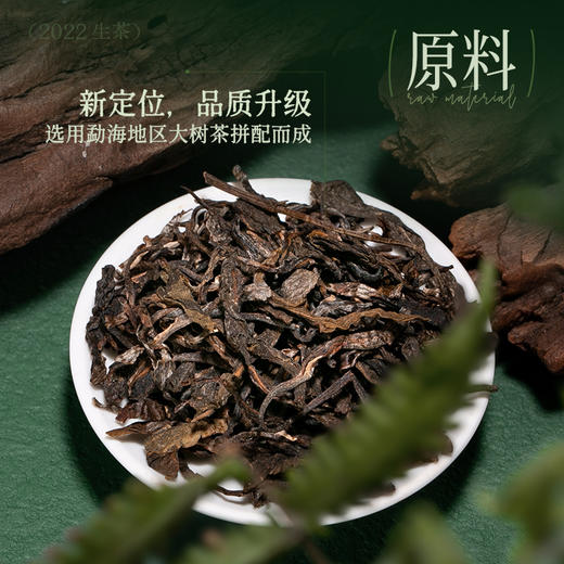 陈升号 2022年陈升一号357g（生茶） 商品图2