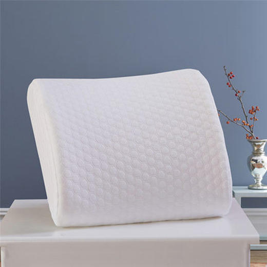 记忆棉腰靠白色BYKD601-1 商品图0