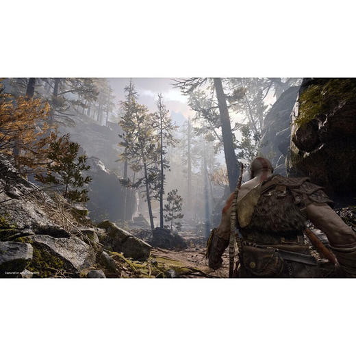 【共享租借】索尼（SONY）PS4游戏光盘 PS4 底特律 变人 商品图2