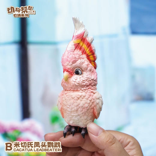 小葵花鹦鹉&米切尔鹦鹉  啥鸟系列③ 模型摆件 鸟类周边 ★动物帮帮 官方正品【48小时发货】 商品图2