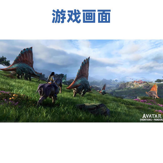 【共享租借】索尼（SONY）PS5游戏光盘 PS5 阿凡达潘多拉边境 商品图2