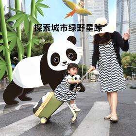 【出行必备】talkBuddy叨叨奶爸 趣玩溜娃行李箱（全国顺丰包邮）
