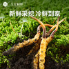 [火热预售中]  阿依舍2025年新鲜冬虫夏草礼盒 商品缩略图8