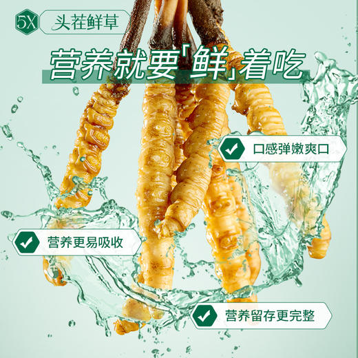 [火热预售中]  阿依舍2025年新鲜冬虫夏草礼盒 商品图9