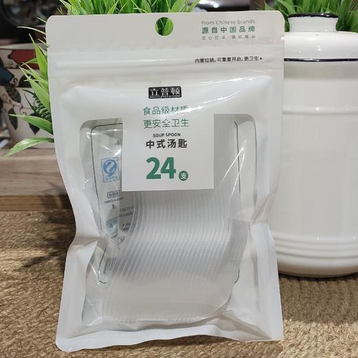 PSP4568立普顿塑料中式汤匙（24条） 商品图0