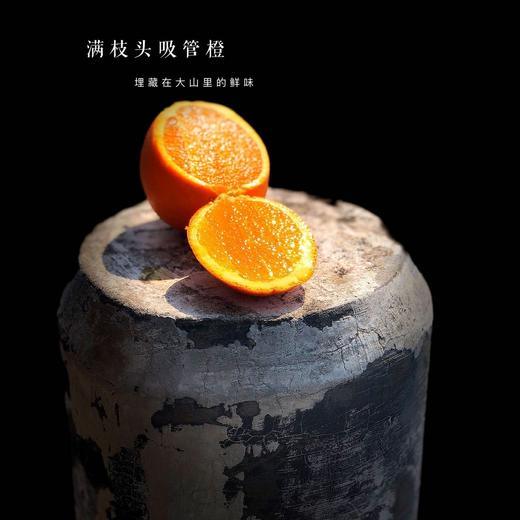 【满枝头橙子上线~每个规格只有30份】我怕有人偷走了它该晒的阳光😎所以来的晚了一些🧑‍满枝头吸管橙季——全年橙王品种‼ 车车稳，颗颗鲜 十年鲜橙专家 商品图1