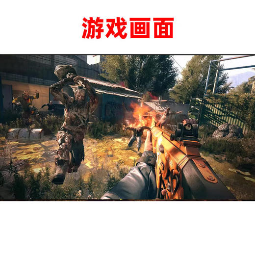 【共享租借】任天堂Switch游戏卡 消逝的光芒 商品图3