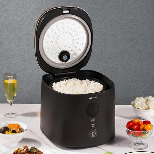 大宇电饭煲 3L智能多功能 DYFB-306 商品图0