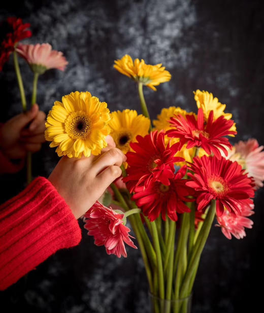 弗朗太阳鲜花充满活力，花型独特，颜色欢快，总能为人带来温暖和幸福，瓶插时间比起其它鲜花来说更久✨灿烂缤纷的色彩，看着心情都变好了🤗，约16支/束+送4支防损耗 商品图1