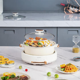 大宇电火锅 分体电火锅DYHG-505