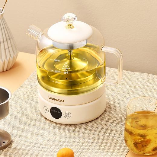 大宇养生壶煮茶器 DY-ZC03 商品图0