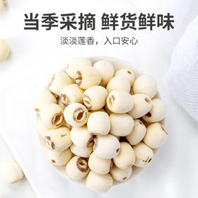 五谷磨房建宁去芯白莲子 250g