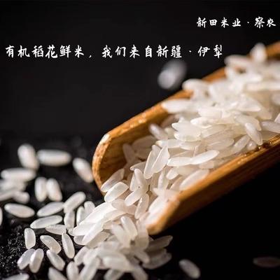 察农·稻花鲜米·5kg  颗粒饱满均匀 米香浓郁不寡淡 商品图2
