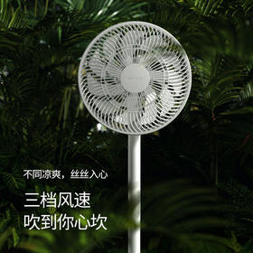 先锋落地扇FS30-23A