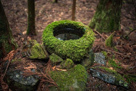 徒步千年熊野古道 5日｜6日行程 商品图2