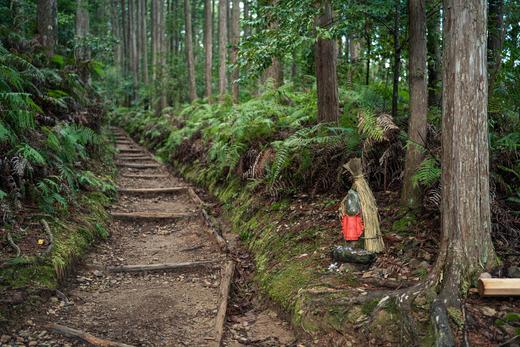 徒步千年熊野古道 5日｜6日行程 商品图4