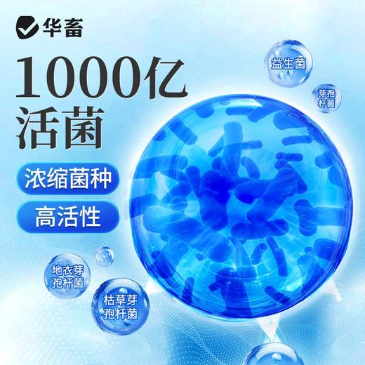 华畜枯草芽孢杆菌1000亿活菌水产养殖鱼虾蟹改底调水肥水净水调藻 商品图2