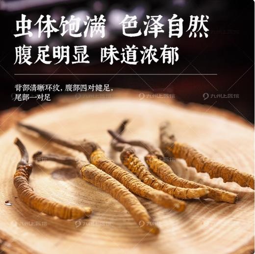 北京同仁堂冬虫夏草中药饮片10g/盒冬虫夏草官方旗舰店正品礼盒 商品图2