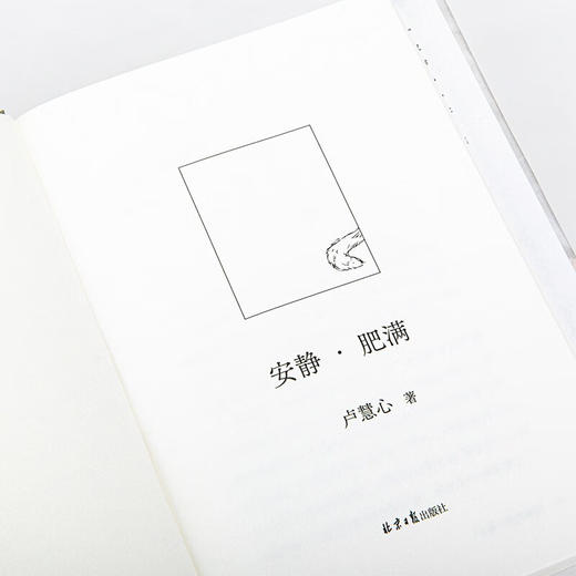 安静·肥满 台北文学奖得主卢慧心小说集 收录11篇短篇小说作品 商品图5