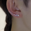 JU-DC-0011小众设计一排式锆石耳环2025新款气质轻奢简约耳钉时尚高级感耳饰 商品缩略图1