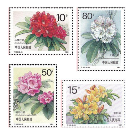 十全十美花开中国 繁花邮票套装 商品图12