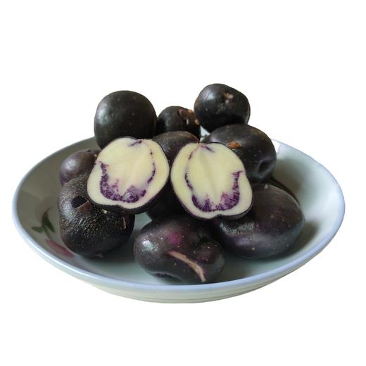 七彩乌洋芋四川凉山特产新鲜现挖现发9斤包邮农家自种马铃薯迷你高山小土豆 商品图8