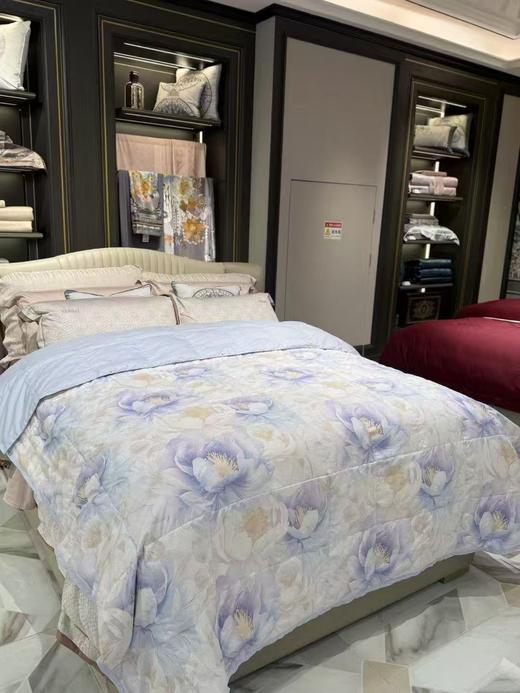 【富安娜】B座7F  A类法国进口水洗羽绒夏被-贝丽芙 商品图1