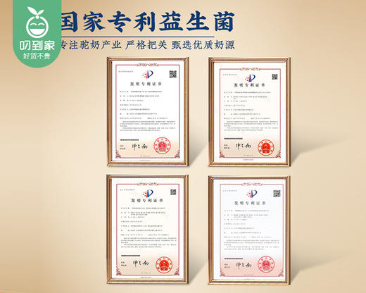 生命之舟初乳益生菌配方驼乳粉/1罐（330g） 商品图3