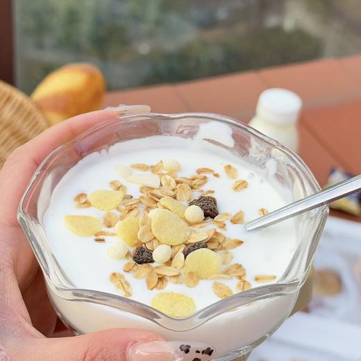 初酪有机酸牛奶，内蒙古大草原有机产品，口感品质纯粹自然，细腻醇厚，浓酸浓酸，老少皆宜，240g/7瓶 商品图6