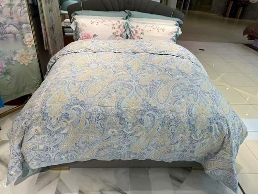 【富安娜】B座7F|:A类印花水洗鹅绒夏被\德莉亚 商品图0