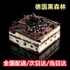 经典热销款全国送：德式巧克力松露+原味奶酪+迪拜巧克力蛋糕+德国黑森林+占督亚坚果巧克力+椰乳牛油果慕斯+梦龙提拉米苏 商品缩略图5