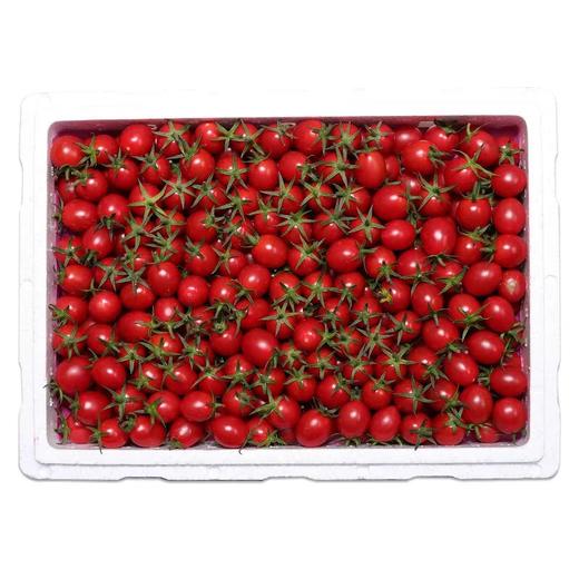 千禧小番茄 商品图0