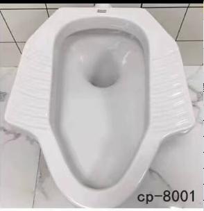 美标蹲便器CP-8001.000.04 商品图0
