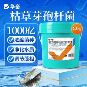 华畜枯草芽孢杆菌1000亿活菌水产养殖鱼虾蟹改底调水肥水净水调藻