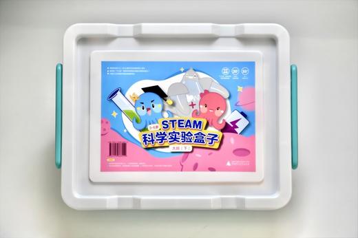 3—6岁STEAM科学实验课程  大班（下）（含材料） 动手实验，玩转科学，培养未来的小小科学家！ 商品图0