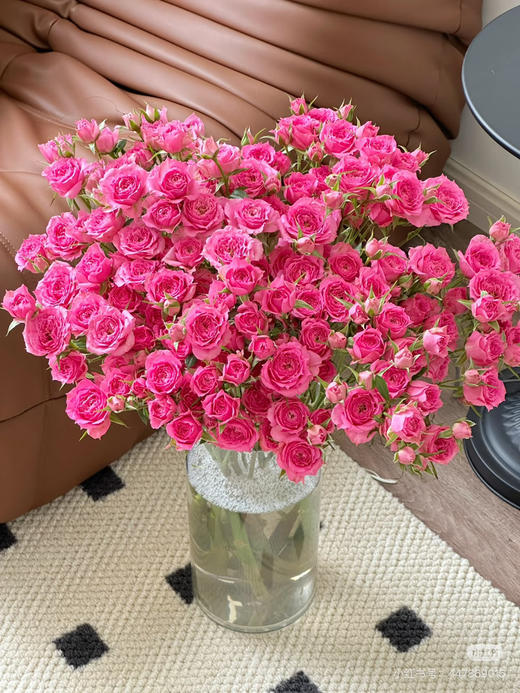 预售14号到货 多头玫瑰苏菲宝贝 一扎10支 支长50厘米 商品图0