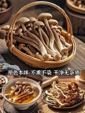 云南一级鹿茸菇干9.9元1袋100g，明天到