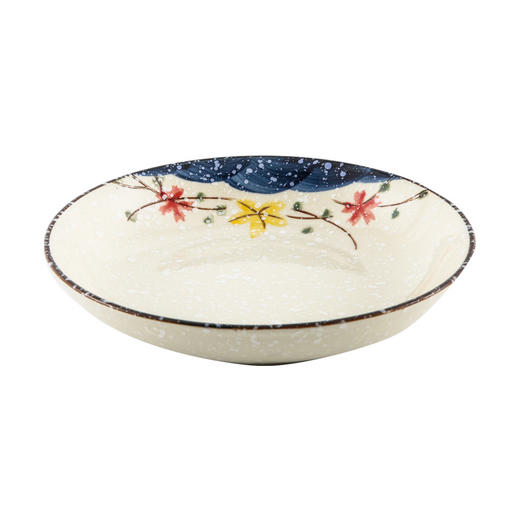 【出口陶瓷盘子】日式釉下彩陶瓷盘子家用厨房深圆盘菜盘碟子复古餐厅饭店餐具餐盘 商品图4