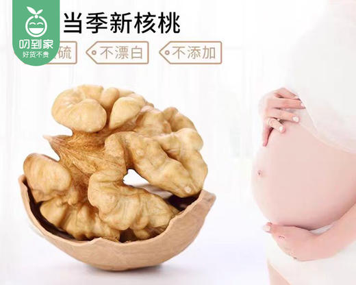 京盛威新疆纸皮核桃（生核桃）/1包（500g）生产日期：26年3月 商品图1