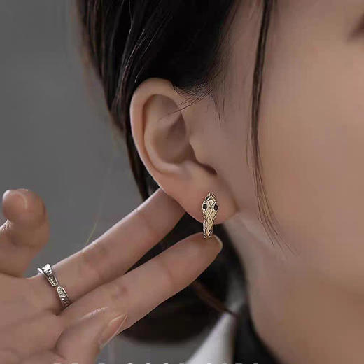 JU-CD-008轻奢蛇形耳扣耳骨夹小众高级感个性男女通用小蛇耳环欧美气质耳饰 商品图2