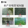 华畜枯草芽孢杆菌1000亿活菌水产养殖鱼虾蟹改底调水肥水净水调藻 商品缩略图1