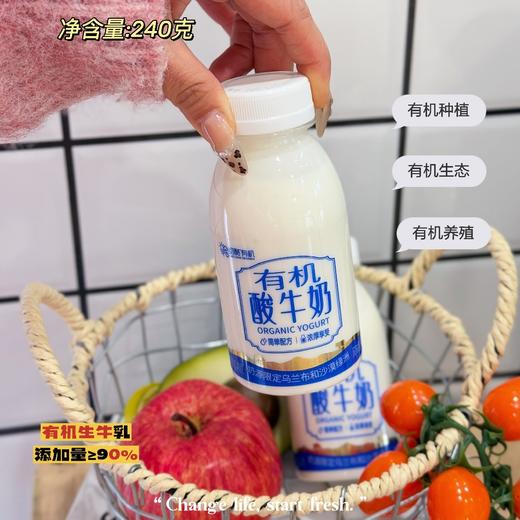 初酪有机酸牛奶，内蒙古大草原有机产品，口感品质纯粹自然，细腻醇厚，浓酸浓酸，老少皆宜，240g/7瓶 商品图7