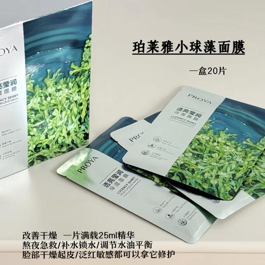 现货▲珀莱雅海藻面膜 20片/盒 商品图0