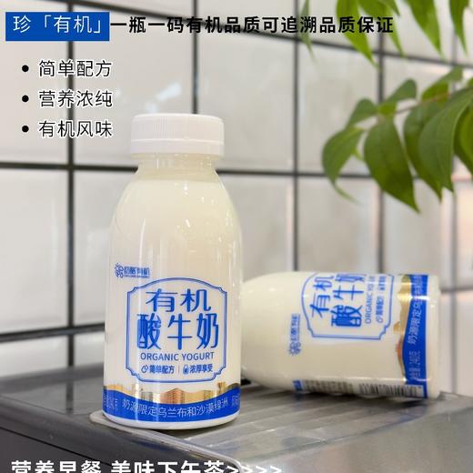 初酪有机酸牛奶，内蒙古大草原有机产品，口感品质纯粹自然，细腻醇厚，浓酸浓酸，老少皆宜，240g/7瓶 商品图1