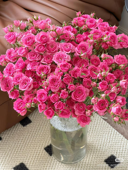 预售14号到货 多头玫瑰苏菲宝贝 一扎10支 支长50厘米 商品图1