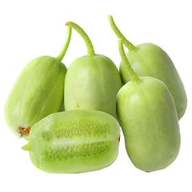 玉女小黄瓜 约500g/份