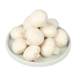 白蘑菇5.5元／盒，明天到 商品图4