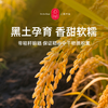 有机五常大米 商品缩略图2