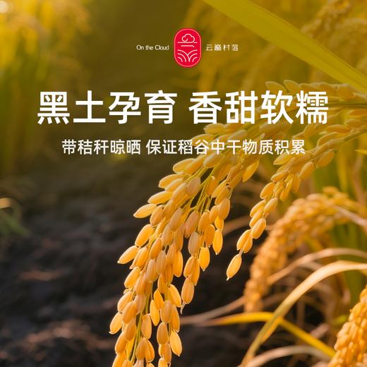 有机五常大米 商品图2